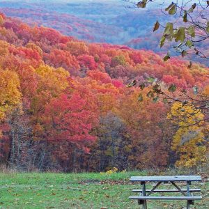 Picnic Table Aside Autumn Colors and Rolling Hills in Indiana
