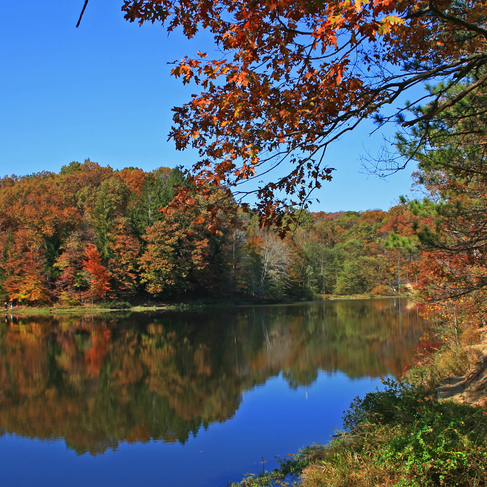 Indiana Lake and Trees at Fall Time